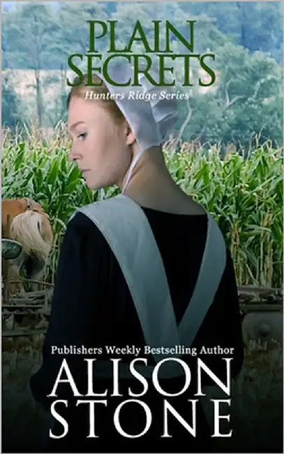 Plain Secrets: An Amish Romantic Suspense Novel by Stone, Alison