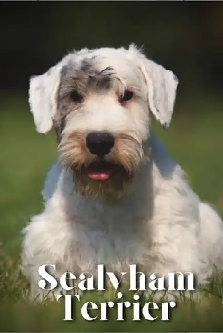 Sealyham Terrier: Dog breed overview and guide by Nina Pustova