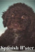 Spanish Water: Dog breed overview and guide by Nina Pustova