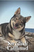 Swedish Vallhund: Dog breed overview and guide by Nina Pustova