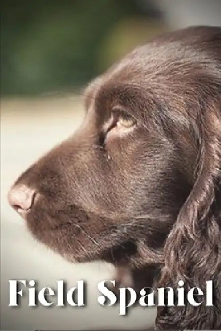 Field Spaniel: Dog breed overview and guide by Nina Pustova