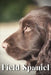 Field Spaniel: Dog breed overview and guide by Nina Pustova