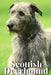 Scottish Deerhound: Dog breed overview and guide by Nina Pustova