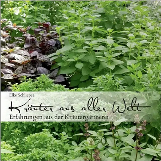 Kräuter aus aller Welt: Erfahrungen aus der Kräutergärtnerei by Schlieper, Elke