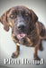 Plott Hound: Dog breed overview and guide by Nina Pustova