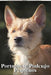 Portuguese Podengo Pequenos: Dog breed overview and guide by Nina Pustova