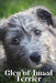Glen of Imaal Terrier: Dog breed overview and guide by Nina Pustova