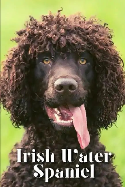 Irish Water Spaniel: Dog breed overview and guide by Nina Pustova