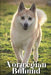 Norwegian Buhund: Dog breed overview and guide by Nina Pustova