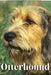 Otterhound: Dog breed overview and guide by Nina Pustova