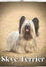 Skye Terrier: Dog breed overview and guide by Nina Pustova