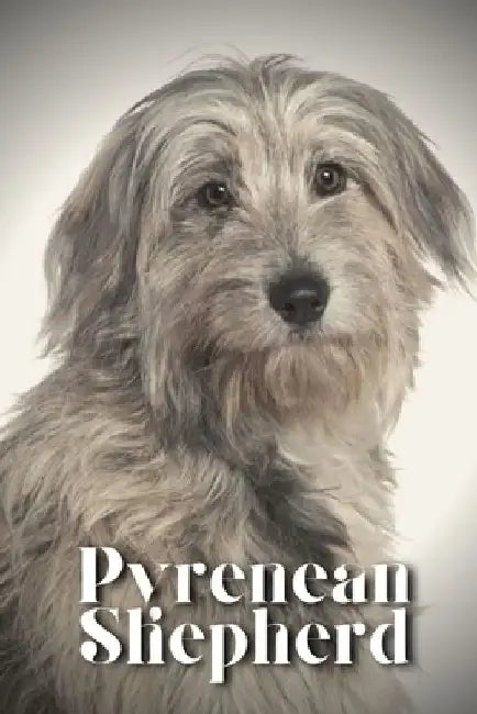 Pyrenean Shepherd: Dog breed overview and guide by Nina Pustova