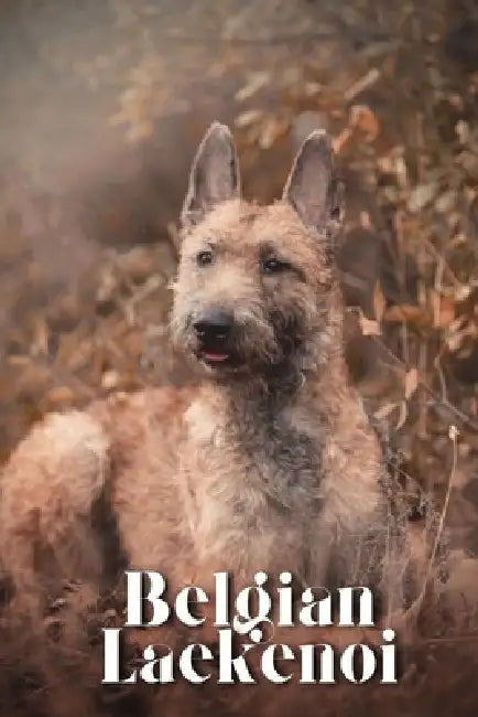 Belgian Laekenoi: Dog breed overview and guide by Nina Pustova