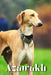 Azawakh: Dog breed overview and guide by Nina Pustova