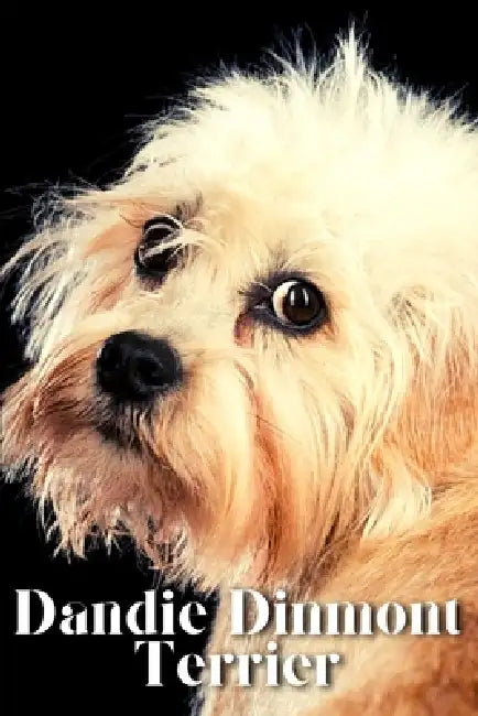 Dandie Dinmont Terrier: Dog breed overview and guide by Nina Pustova