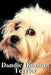 Dandie Dinmont Terrier: Dog breed overview and guide by Nina Pustova