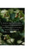 From Acorns to Canopies: Cultivating and Nurturing Oak Trees for Sustainable Forest Ecosystems by Charles D. Brannon