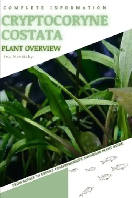 Cryptocoryne Costata: From Novice to Expert. Comprehensive Aquarium Plants Guide by Iva Novitsky