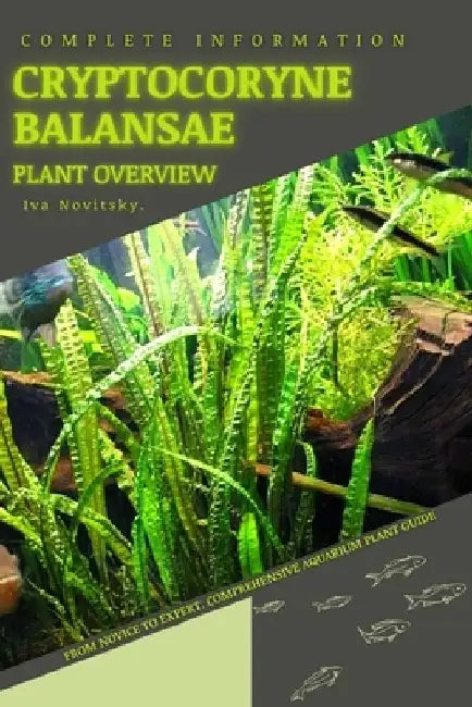 Cryptocoryne Balansae: From Novice to Expert. Comprehensive Aquarium Plants Guide by Iva Novitsky