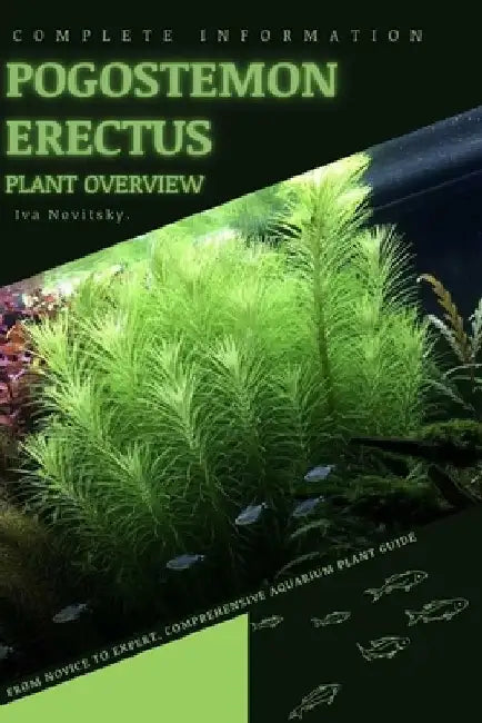 Pogostemon Erectus: From Novice to Expert. Comprehensive Aquarium Plants Guide by Iva Novitsky