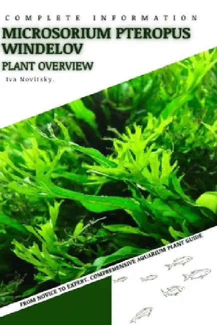 Microsorium Pteropus Windelov: From Novice to Expert. Comprehensive Aquarium Plants Guide by Iva Novitsky
