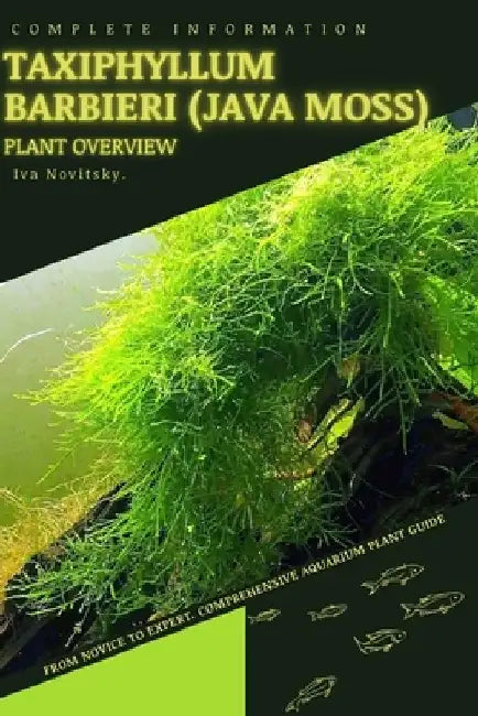 Taxiphyllum Barbieri (Java Moss): From Novice to Expert. Comprehensive Aquarium Plants Guide by Iva Novitsky