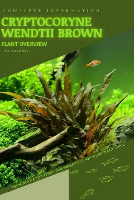 Cryptocoryne Wendtii Brown: From Novice to Expert. Comprehensive Aquarium Plants Guide by Iva Novitsky