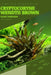 Cryptocoryne Wendtii Brown: From Novice to Expert. Comprehensive Aquarium Plants Guide by Iva Novitsky