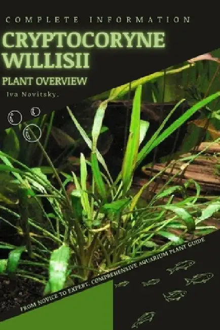Cryptocoryne Willisii: From Novice to Expert. Comprehensive Aquarium Plants Guide by Iva Novitsky