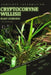 Cryptocoryne Willisii: From Novice to Expert. Comprehensive Aquarium Plants Guide by Iva Novitsky