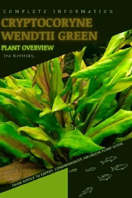 Cryptocoryne Wendtii Green: From Novice to Expert. Comprehensive Aquarium Plants Guide by Iva Novitsky
