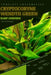 Cryptocoryne Wendtii Green: From Novice to Expert. Comprehensive Aquarium Plants Guide by Iva Novitsky