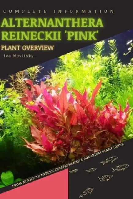 Alternanthera Reineckii 'Pink': From Novice to Expert. Comprehensive Aquarium Plants Guide by Iva Novitsky
