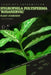 Hygrophila polysperma 'Rosanervig': From Novice to Expert. Comprehensive Aquarium Plants Guide by Iva Novitsky