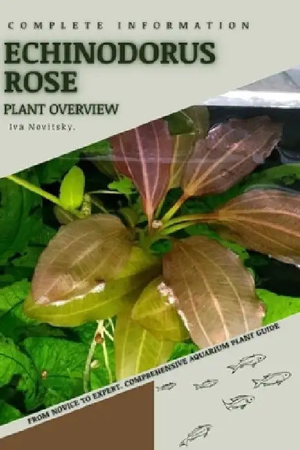 Echinodorus Rose: From Novice to Expert. Comprehensive Aquarium Plants Guide by Iva Novitsky