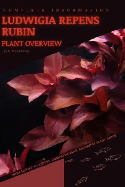 Ludwigia Repens Rubin: From Novice to Expert. Comprehensive Aquarium Plants Guide by Iva Novitsky
