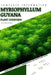 Myriophyllum Guyana: From Novice to Expert. Comprehensive Aquarium Plants Guide by Iva Novitsky