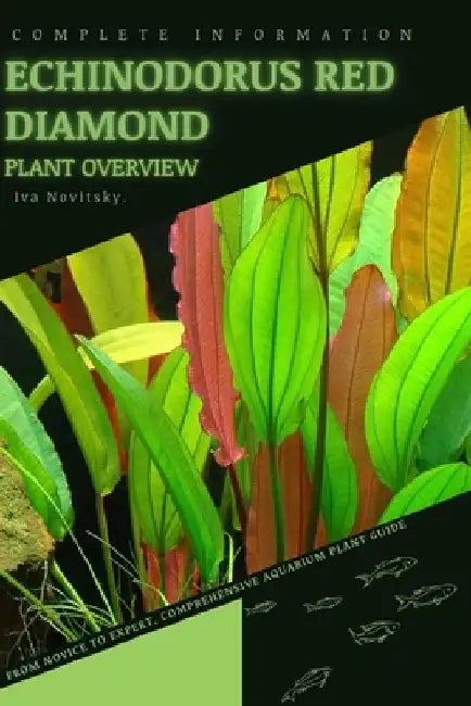 Echinodorus Red Diamond: From Novice to Expert. Comprehensive Aquarium Plants Guide by Iva Novitsky