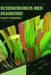 Echinodorus Red Diamond: From Novice to Expert. Comprehensive Aquarium Plants Guide by Iva Novitsky