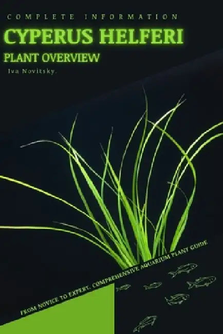 Cyperus helferi: From Novice to Expert. Comprehensive Aquarium Plants Guide by Iva Novitsky