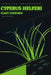 Cyperus helferi: From Novice to Expert. Comprehensive Aquarium Plants Guide by Iva Novitsky