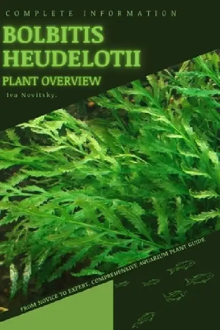 Bolbitis heudelotii: From Novice to Expert. Comprehensive Aquarium Plants Guide by Iva Novitsky