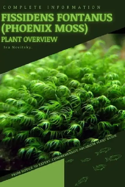 Fissidens fontanus (Phoenix Moss): From Novice to Expert. Comprehensive Aquarium Plants Guide by Iva Novitsky