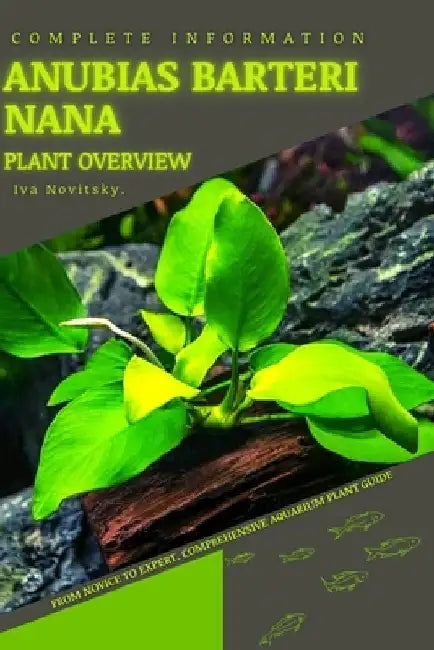 Anubias barteri nana: From Novice to Expert. Comprehensive Aquarium Plants Guide by Iva Novitsky