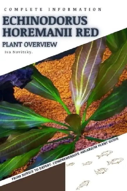 Echinodorus Horemanii Red: From Novice to Expert. Comprehensive Aquarium Plants Guide by Iva Novitsky