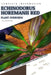 Echinodorus Horemanii Red: From Novice to Expert. Comprehensive Aquarium Plants Guide by Iva Novitsky