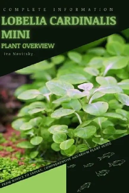 Lobelia Cardinalis Mini: From Novice to Expert. Comprehensive Aquarium Plants Guide by Iva Novitsky