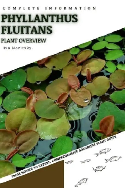Phyllanthus fluitans: From Novice to Expert. Comprehensive Aquarium Plants Guide by Iva Novitsky