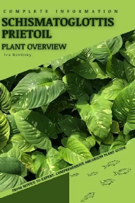 Schismatoglottis prietoil: From Novice to Expert. Comprehensive Aquarium Plants Guide by Iva Novitsky
