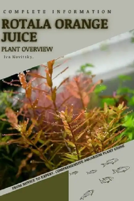 Rotala Orange Juice: From Novice to Expert. Comprehensive Aquarium Plants Guide by Iva Novitsky